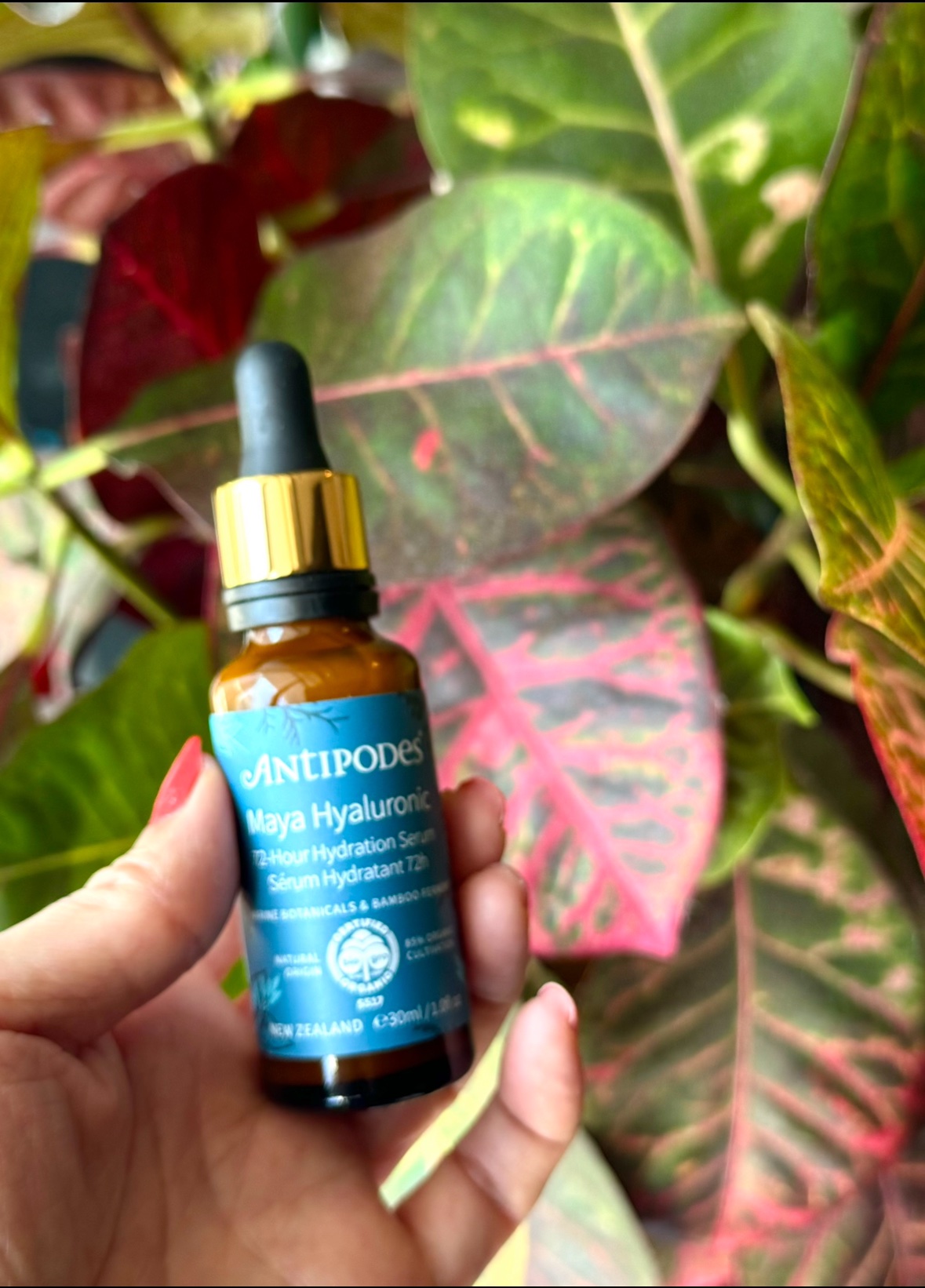 マヤ72H セラム/Antipodes/美容液を使ったクチコミ（2枚目）