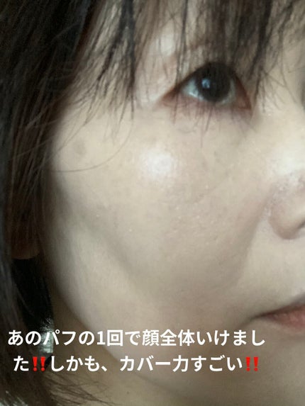 ピンクティーツリーカバークッション/APLIN/クッションファンデーションを使ったクチコミ(6枚目)