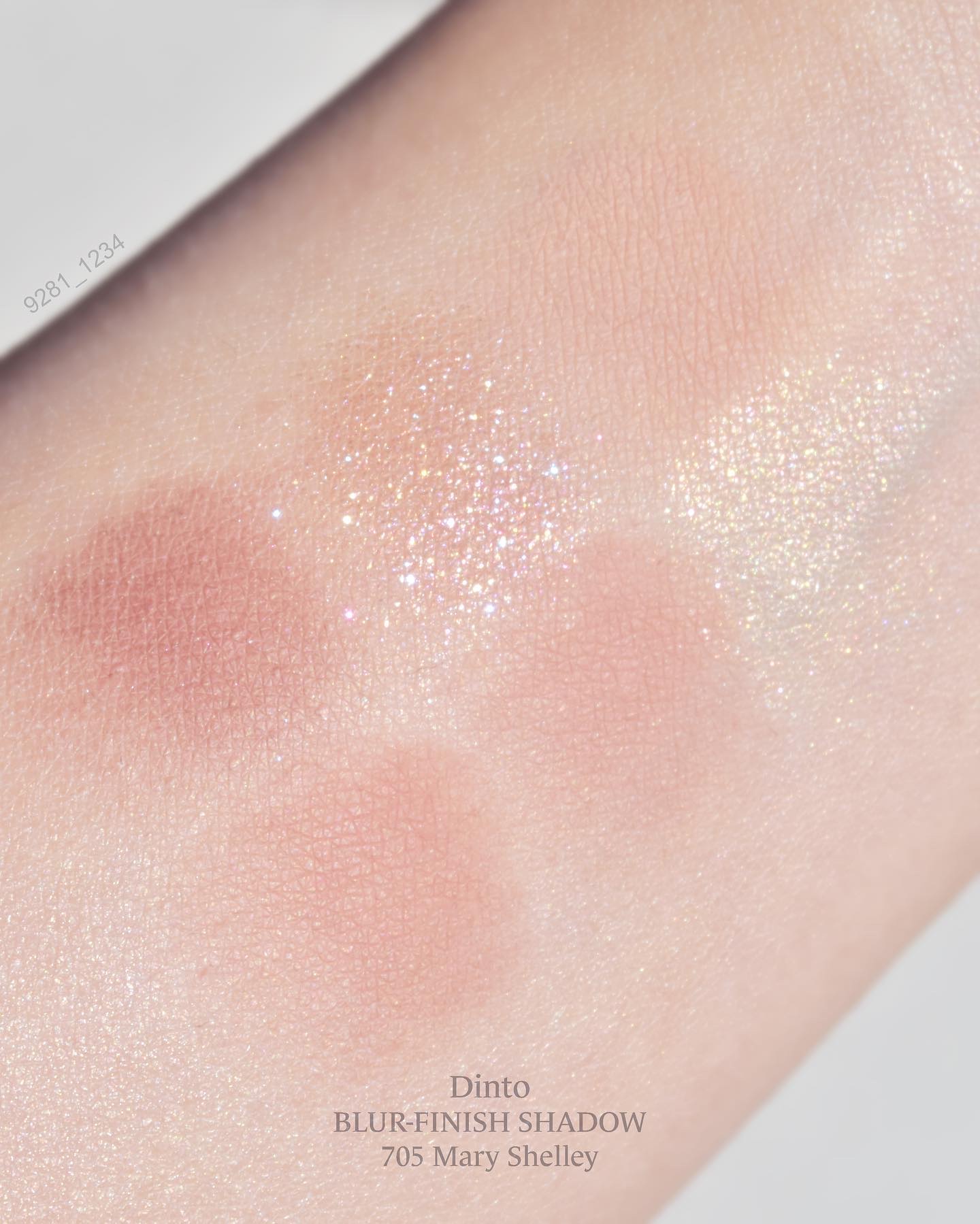 ブラーフィニシュシャドウパレット/Dinto/アイシャドウパレットを使ったクチコミ（3枚目）