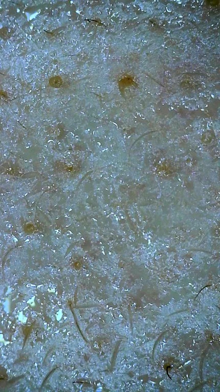 きる on LIPS 「自分の為だけのメモ6月8日自分がビニール肌かどうかみる為にマイ..」(2枚目)