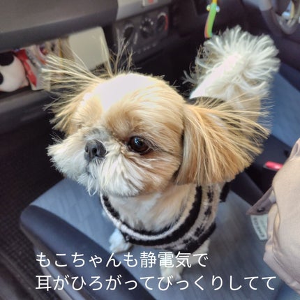 ひろちゃん on LIPS 「静電気防止ten………………………………………………お洒落なパ..」(7枚目)