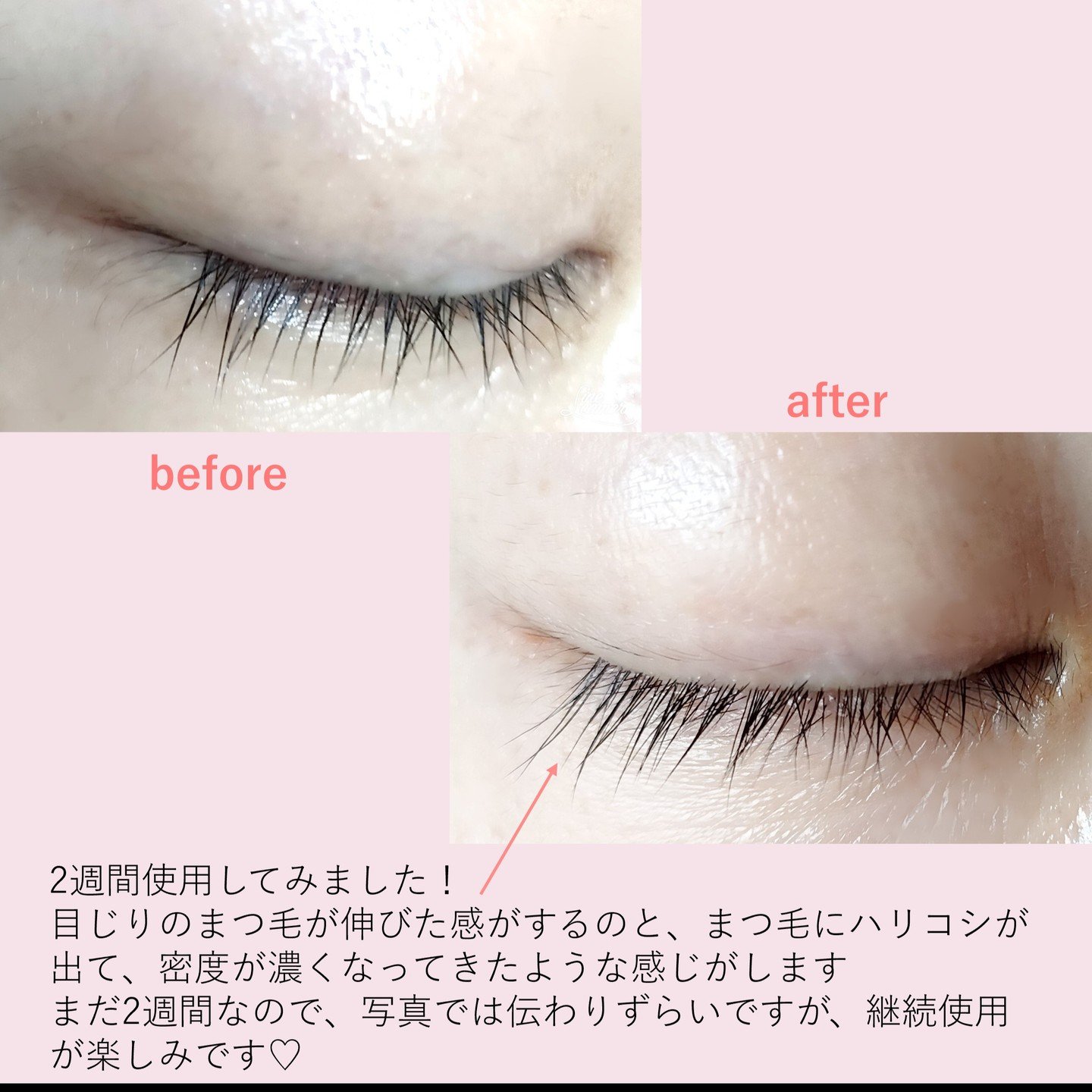 アイラッシュセラム/PHOEBE BEAUTY UP/まつげ美容液を使ったクチコミ（3枚目）