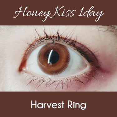 ハニーキス1day/ ハーヴェストリング
BC8.6 着色直径13.8 

プリクラみたいなお目目になります💕
Theビー玉eyes🥺✨ってかんじ。
デカ目になるし、瞳がキラキラする気がする・・・綺麗で