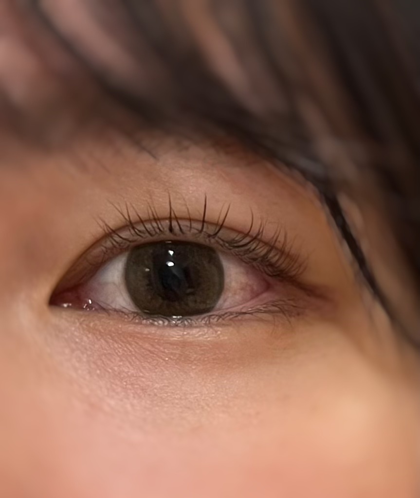 セレクトフェアリー ユーザーセレクト ワンデー Citrus Brown/FAIRY/ワンデー（１DAY）カラコンを使ったクチコミ（1枚目）