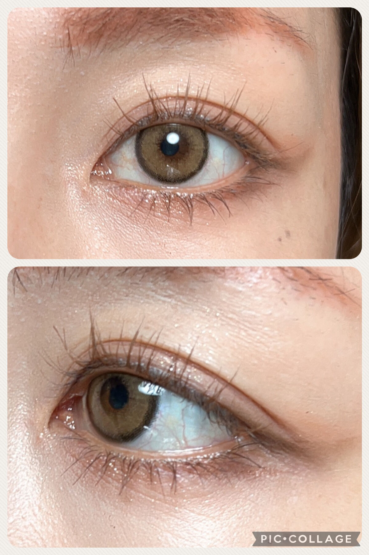 エクスプローラ12色 動物アイシャドウパレット/PERFECT DIARY/アイシャドウパレットを使ったクチコミ（3枚目）