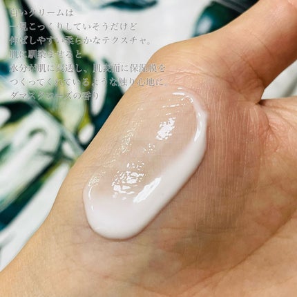 モイスチャライジングクリーム/Biowell/フェイスクリームを使ったクチコミ(3枚目)