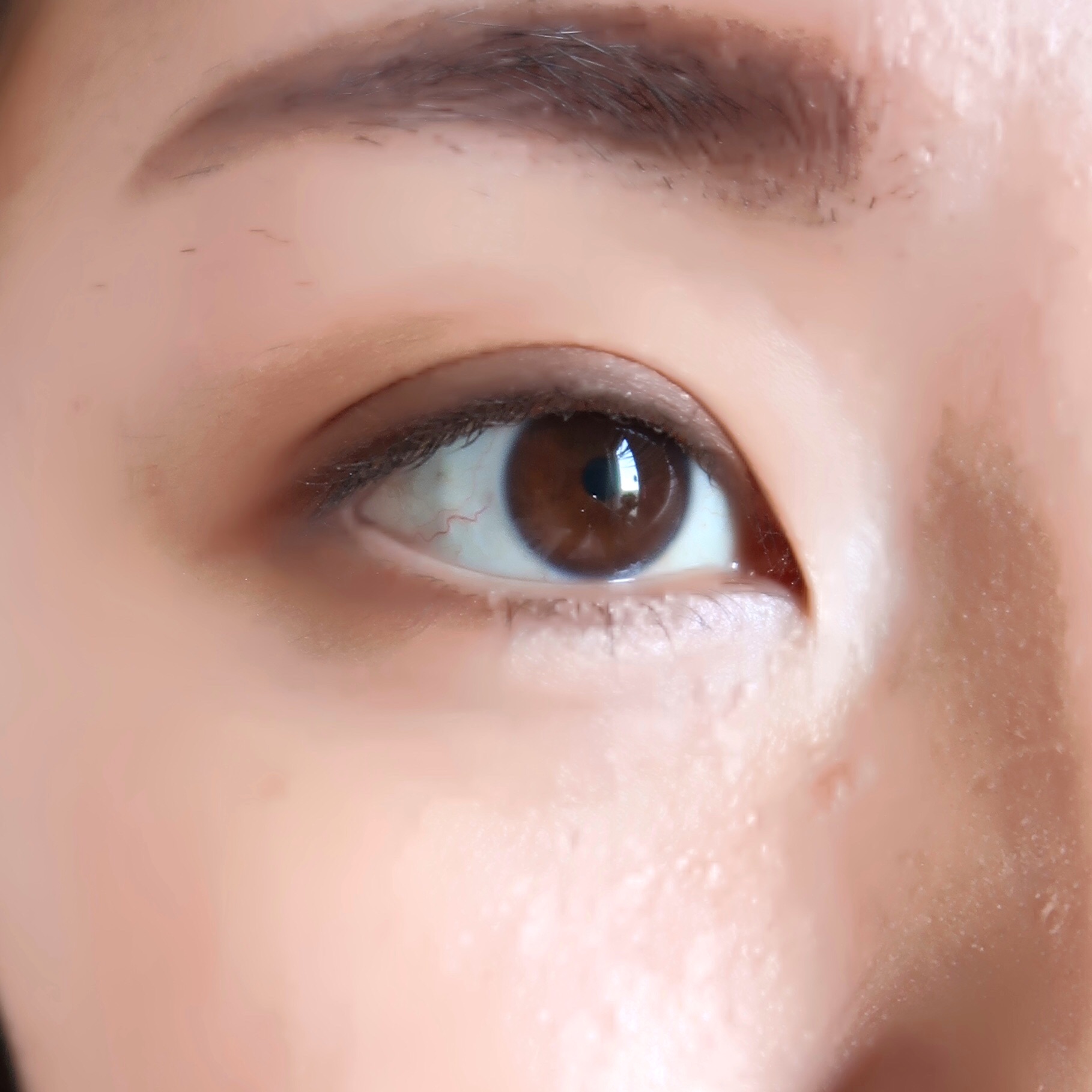 パーフェクトマルチアイズ 01 ローズブラウン/キャンメイク/アイシャドウパレットを使ったクチコミ（3枚目）