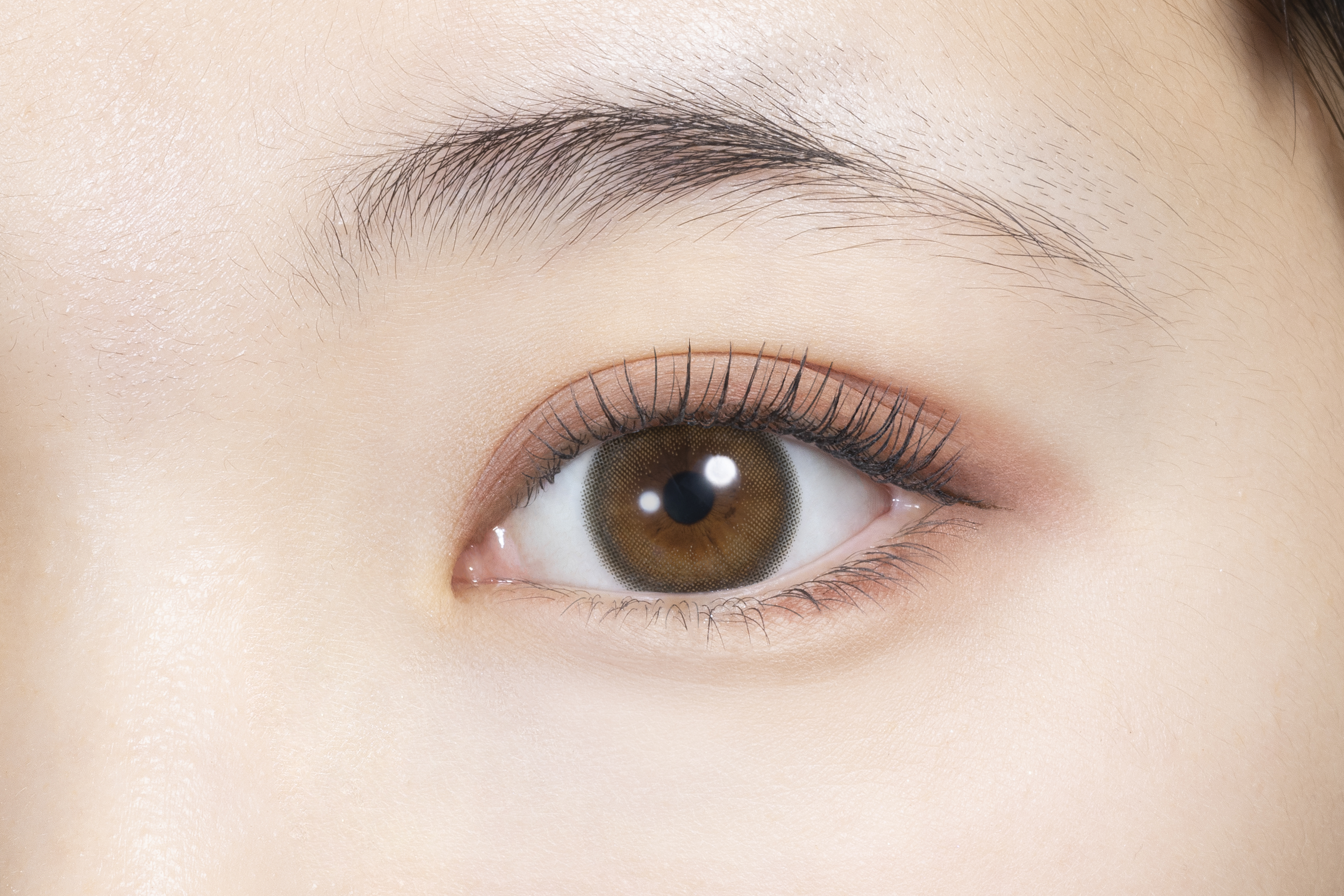 melady 1day ヒロインブラウン