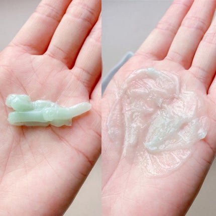 BONFRE TEA TREE SHAMPOO/NICHIRICH/市販シャンプーを使ったクチコミ(7枚目)