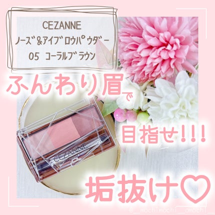 ノーズ&アイブロウパウダー/CEZANNE/パウダーアイブロウを使ったクチコミ(1枚目)