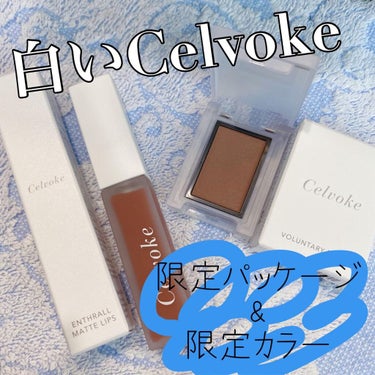 セルヴォーク ヴォランタリー アイズ/Celvoke/シングルアイシャドウを使ったクチコミ（1枚目）