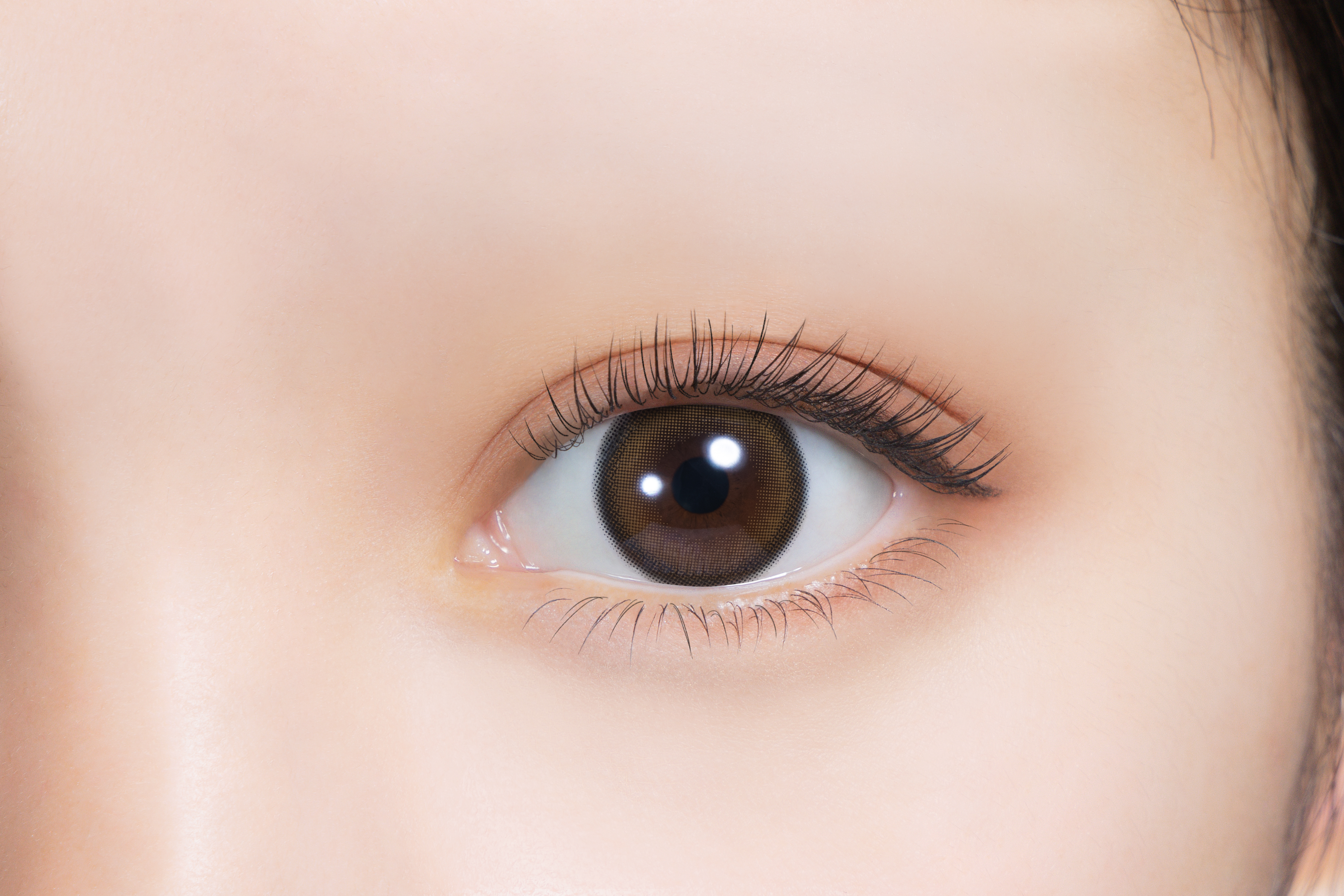 feliamo 1month ウーロンティー