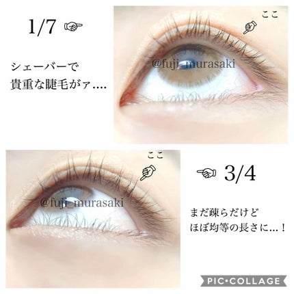 ラッシュジェリードロップ EX/MAJOLICA MAJORCA/まつげ美容液を使ったクチコミ(2枚目)