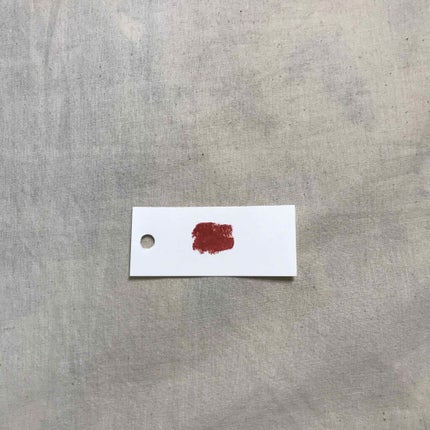 ラスティング リップカラーN/CEZANNE/口紅を使ったクチコミ(2枚目)