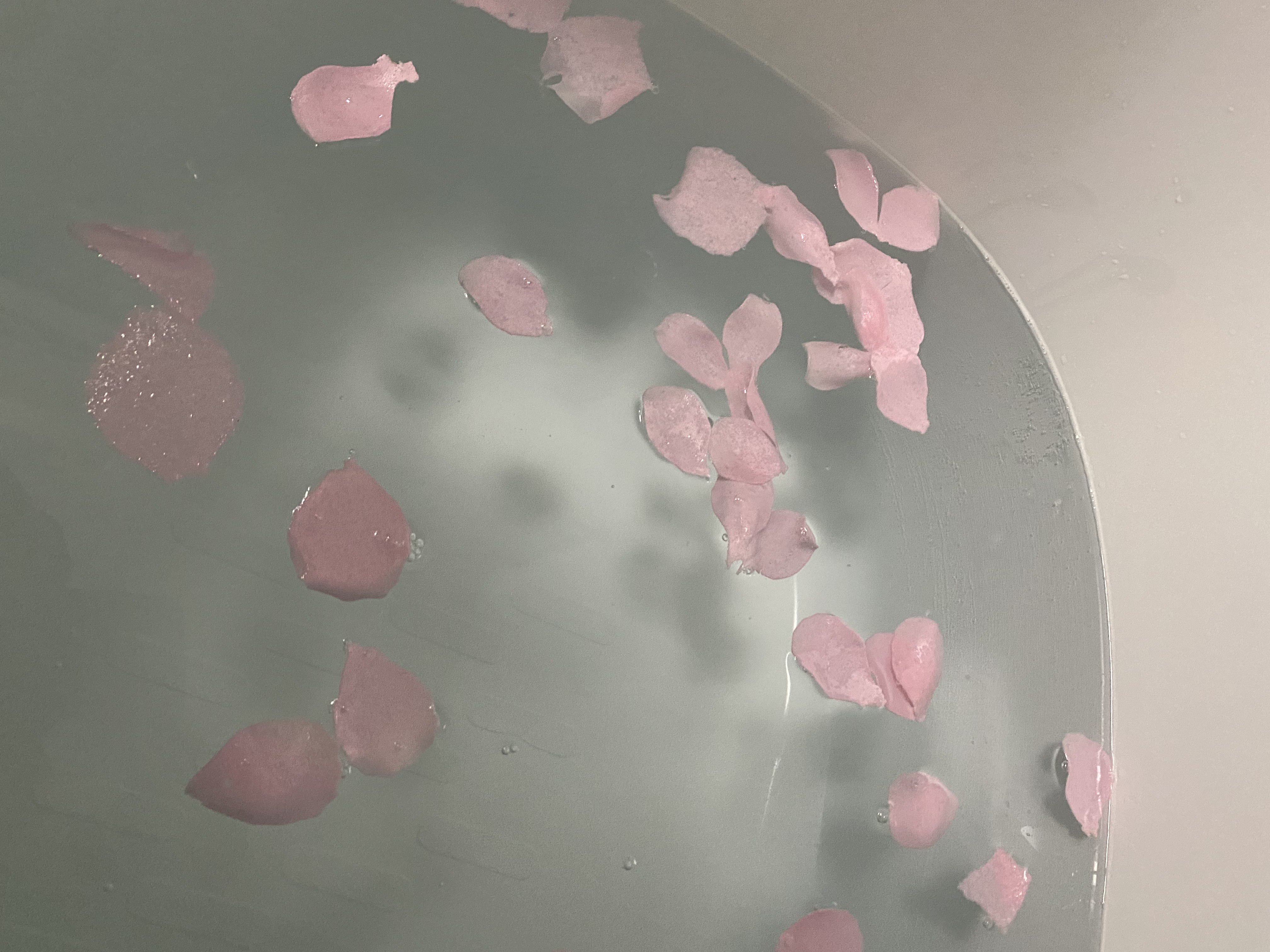 BFバスフラワープチギフト/デイズインブルーム ガーデン/その他を使ったクチコミ（2枚目）