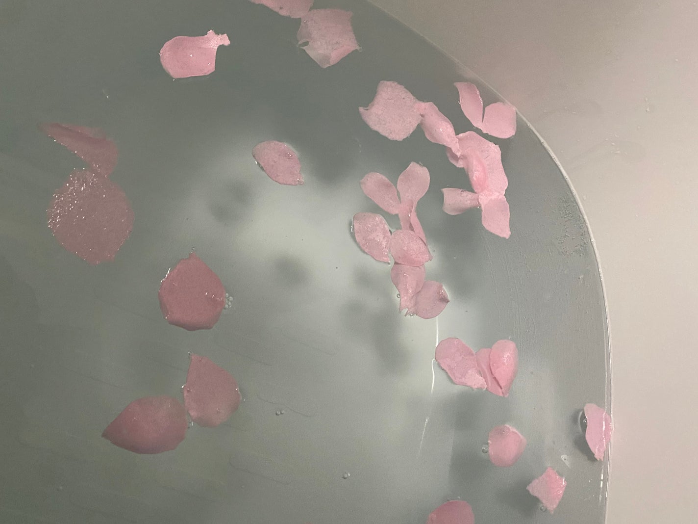 BFバスフラワープチギフト/デイズインブルーム ガーデン/その他を使ったクチコミ(2枚目)