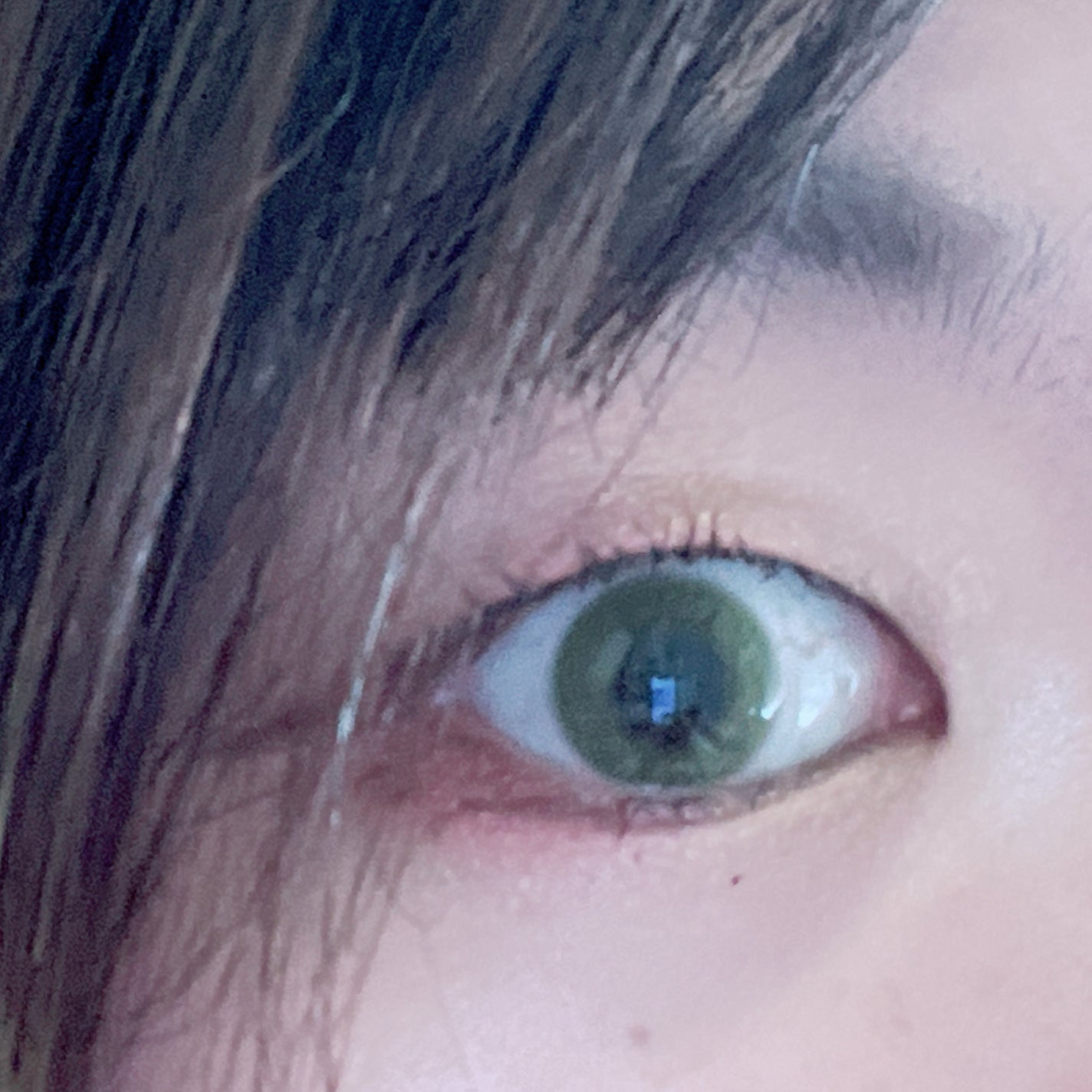 N’s COLLECTION 1day/N’s COLLECTION/ワンデー(1DAY)カラコンを使ったクチコミ(6枚目)