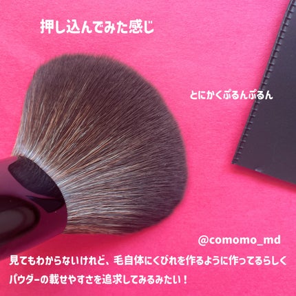 パウダーブラシEX/ロージーローザ/メイクブラシを使ったクチコミ(4枚目)