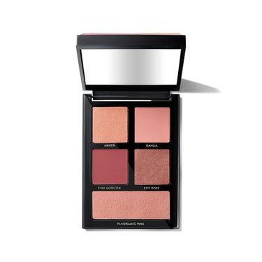 パノラミック ピンク アイシャドウ パレット BOBBI BROWN