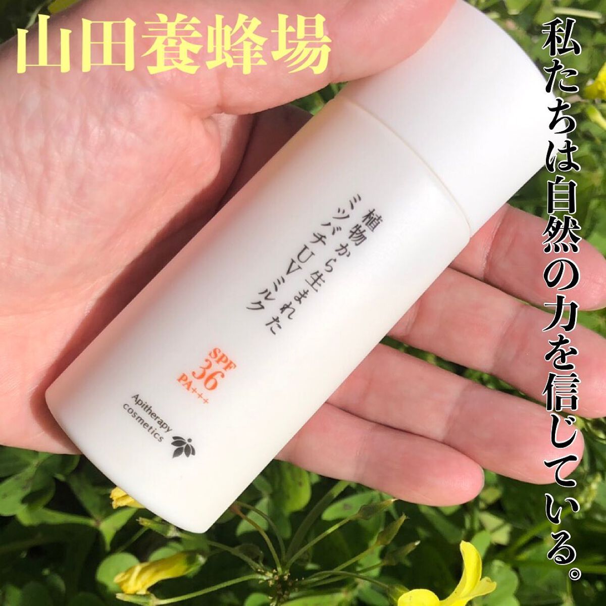 植物から生まれたミツバチUVミルク/アピセラピーコスメティクス/日焼け止めミルクを使ったクチコミ（1枚目）