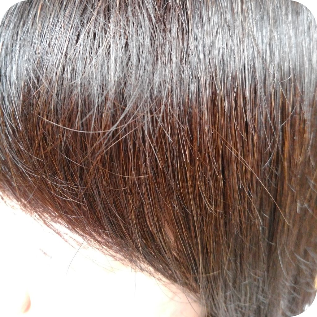 スムースリペア バターとハーブシロップのモコモコ泡シャンプー/バターとハーブミルクのさらさらトリートメント/AHALO BUTTER/シャンプー・コンディショナーを使ったクチコミ(4枚目)