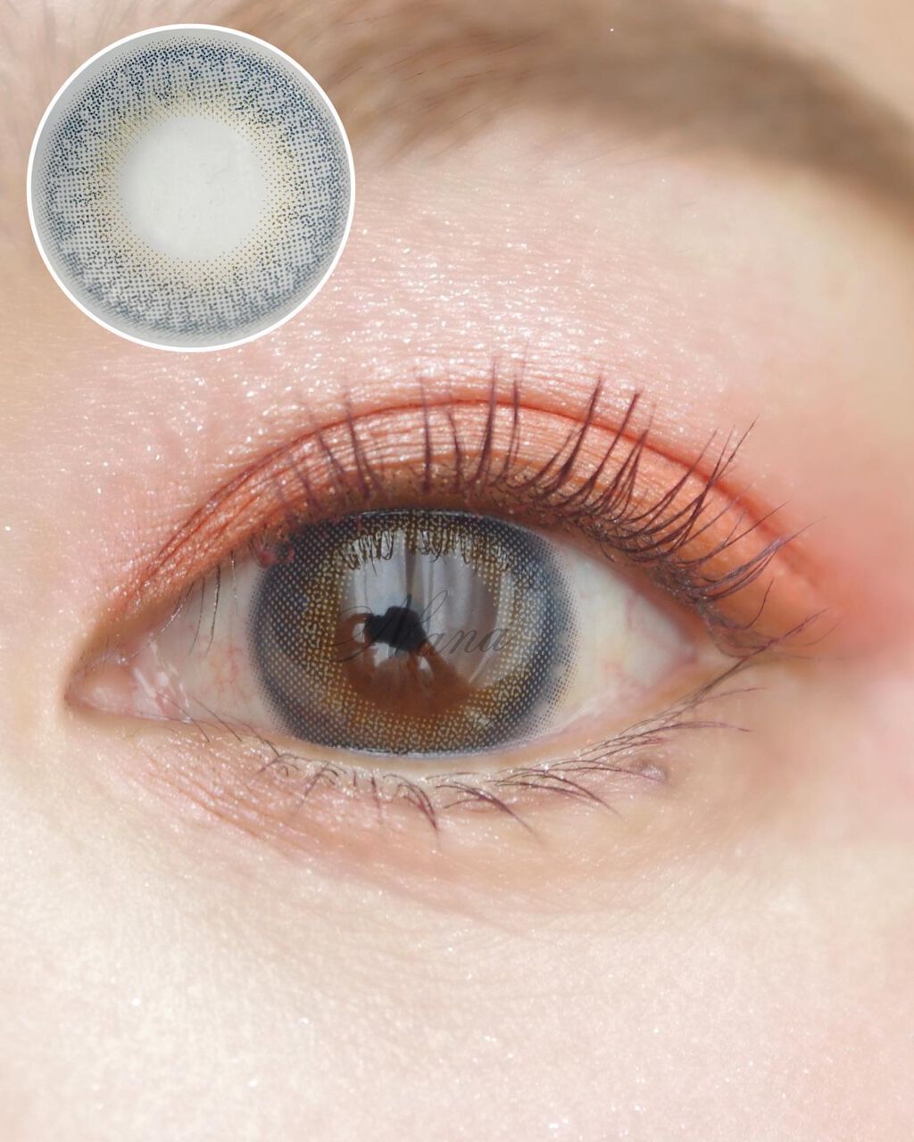 TOPARDS 1day/TOPARDS/ã¯ã³ããŒïŒïŒDAYïŒã«ã©ã³ã³ã䜿ã£ãã¯ãã³ãïŒ4æç®ïŒ