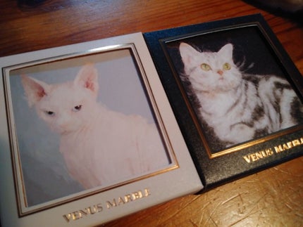 Venus Marble アイシャドウキャットシリーズ/Venus Marble/アイシャドウパレットを使ったクチコミ(1枚目)