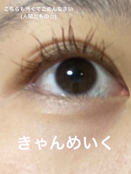 クイックラッシュカーラー/キャンメイク/マスカラ下地を使ったクチコミ(5枚目)