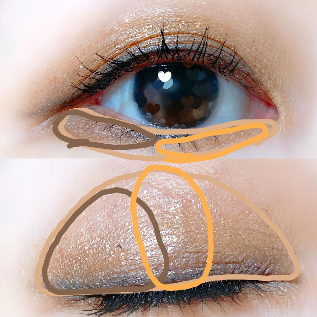 CHEER me COLOR アイシャドウ/セリア/アイシャドウパレットを使ったクチコミ(4枚目)