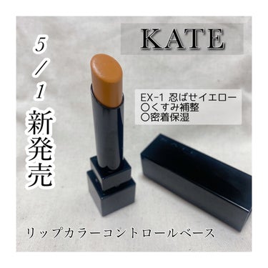 リップカラーコントロールベース /KATE/リップケア・リップクリームを使ったクチコミ（1枚目）