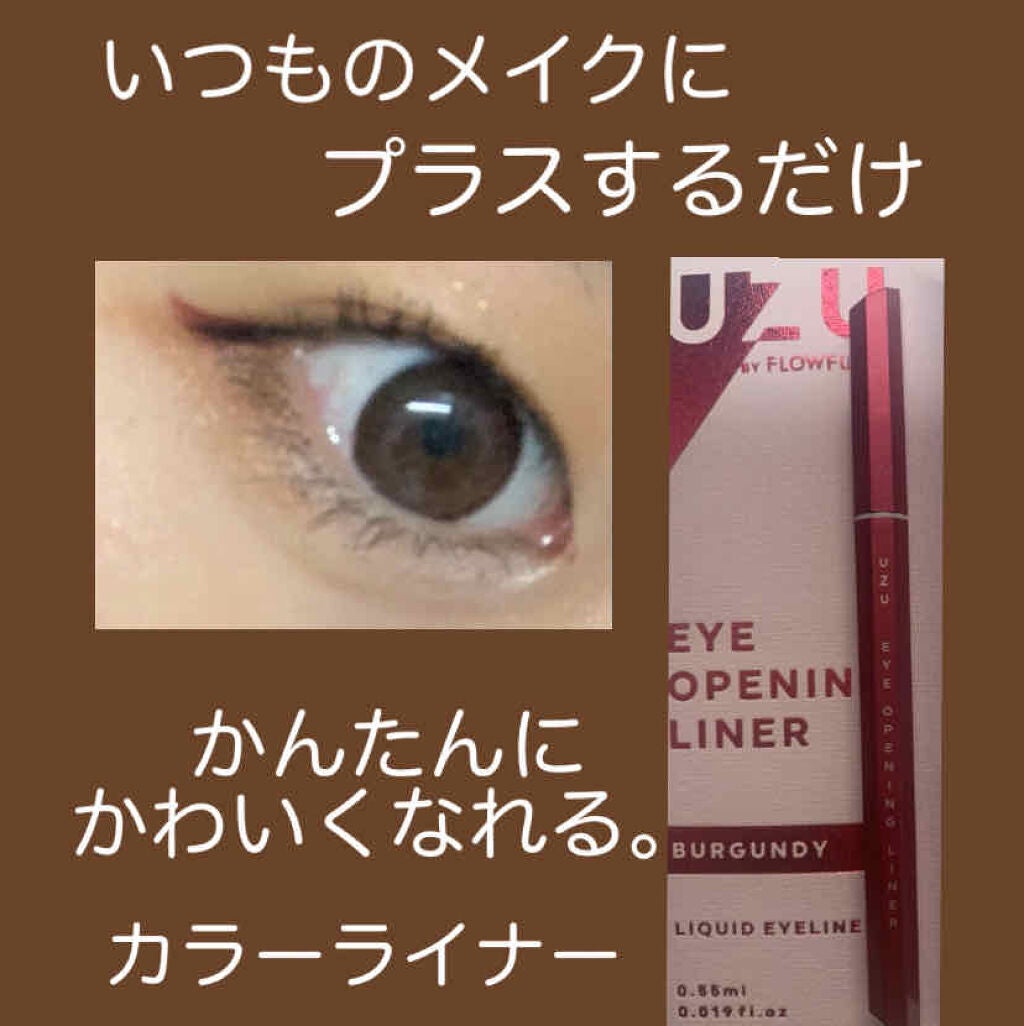 EYE OPENING LINER/UZU BY FLOWFUSHI/リキッドアイライナーを使ったクチコミ(1枚目)