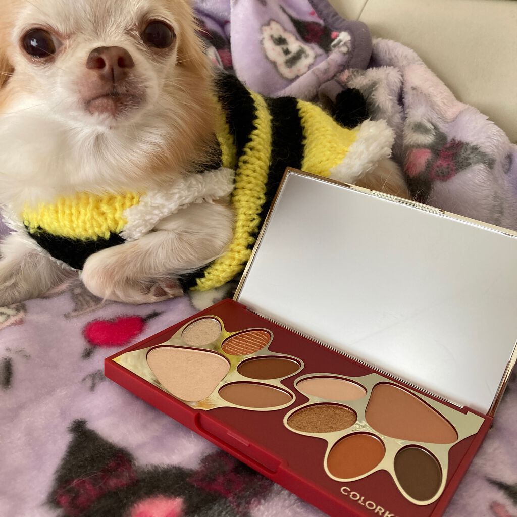 トラ十色アイシャドウパレット/COLORKEY/アイシャドウパレットを使ったクチコミ(2枚目)