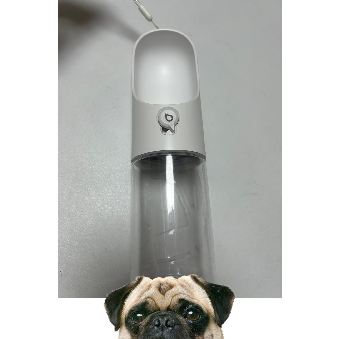 あじゅ on LIPS 「鼻ぺちゃ犬種はちょっと使えない?かもしれない😭主に犬と一緒にお..」(1枚目)