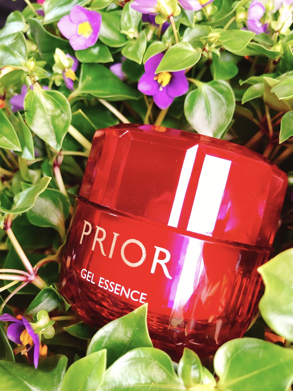 プリオール 資生堂 ジェル美容液 詰め替え用48g ✖️2個 プリオール