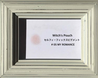 セルフィーフィックスピグメント/Witch's Pouch/単色アイシャドウを使ったクチコミ（3枚目）