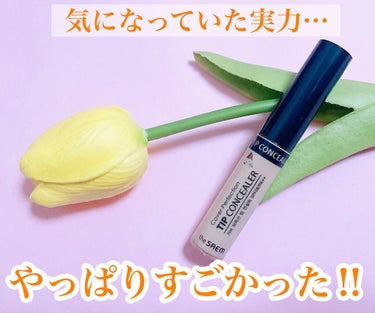 カバーパーフェクション チップコンシーラー/the SAEM/コンシーラーを使ったクチコミ（1枚目）