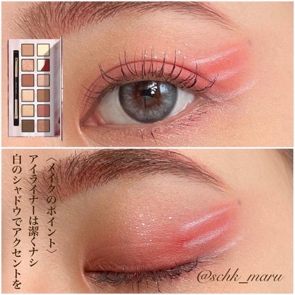 エクスプローラ12色 動物アイシャドウパレット/PERFECT DIARY/アイシャドウパレットを使ったクチコミ(8枚目)