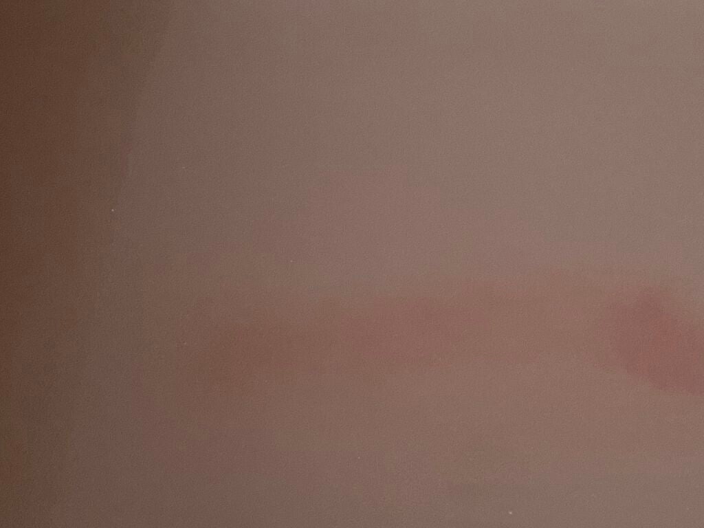 汗かきエステ気分 スキンケアローズ/マックス/保湿系入浴剤を使ったクチコミ(6枚目)