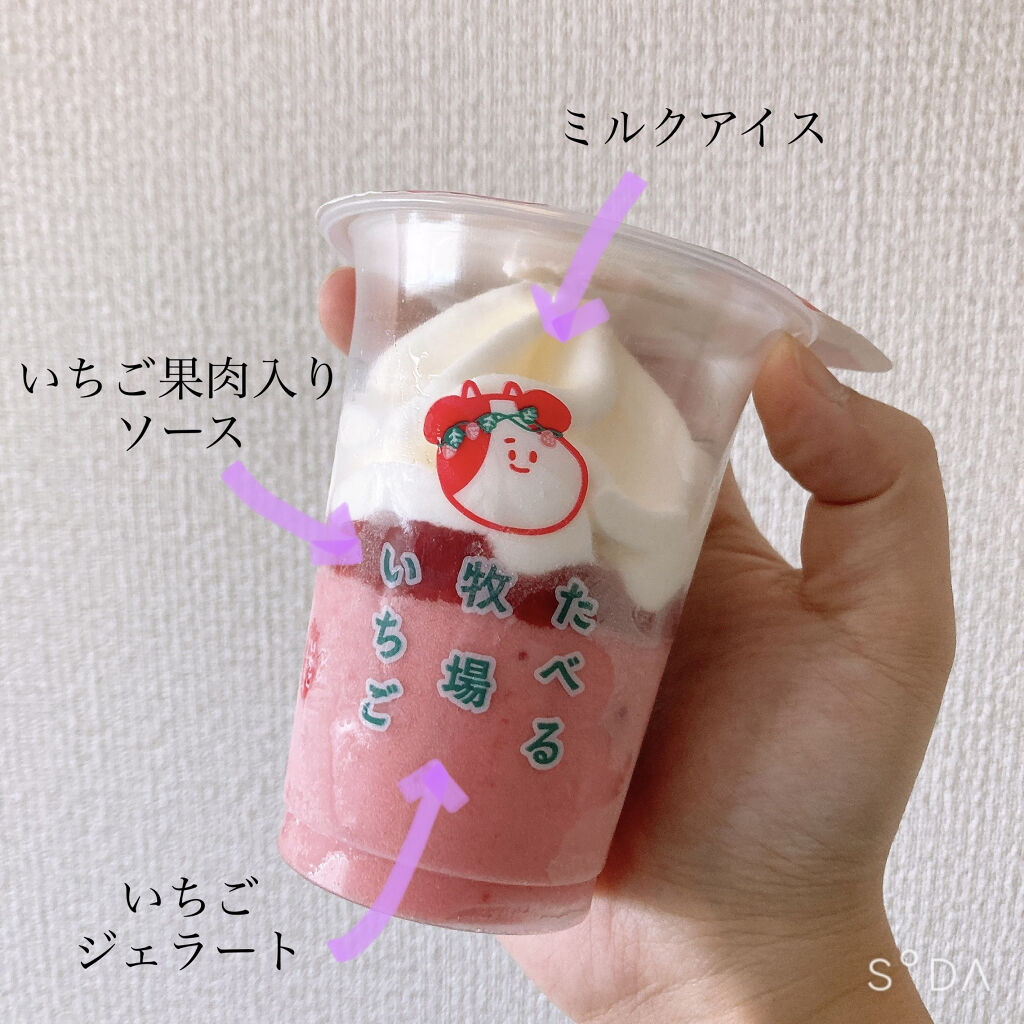 食べてもDiet/井藤漢方製薬/ボディサプリメントを使ったクチコミ（2枚目）