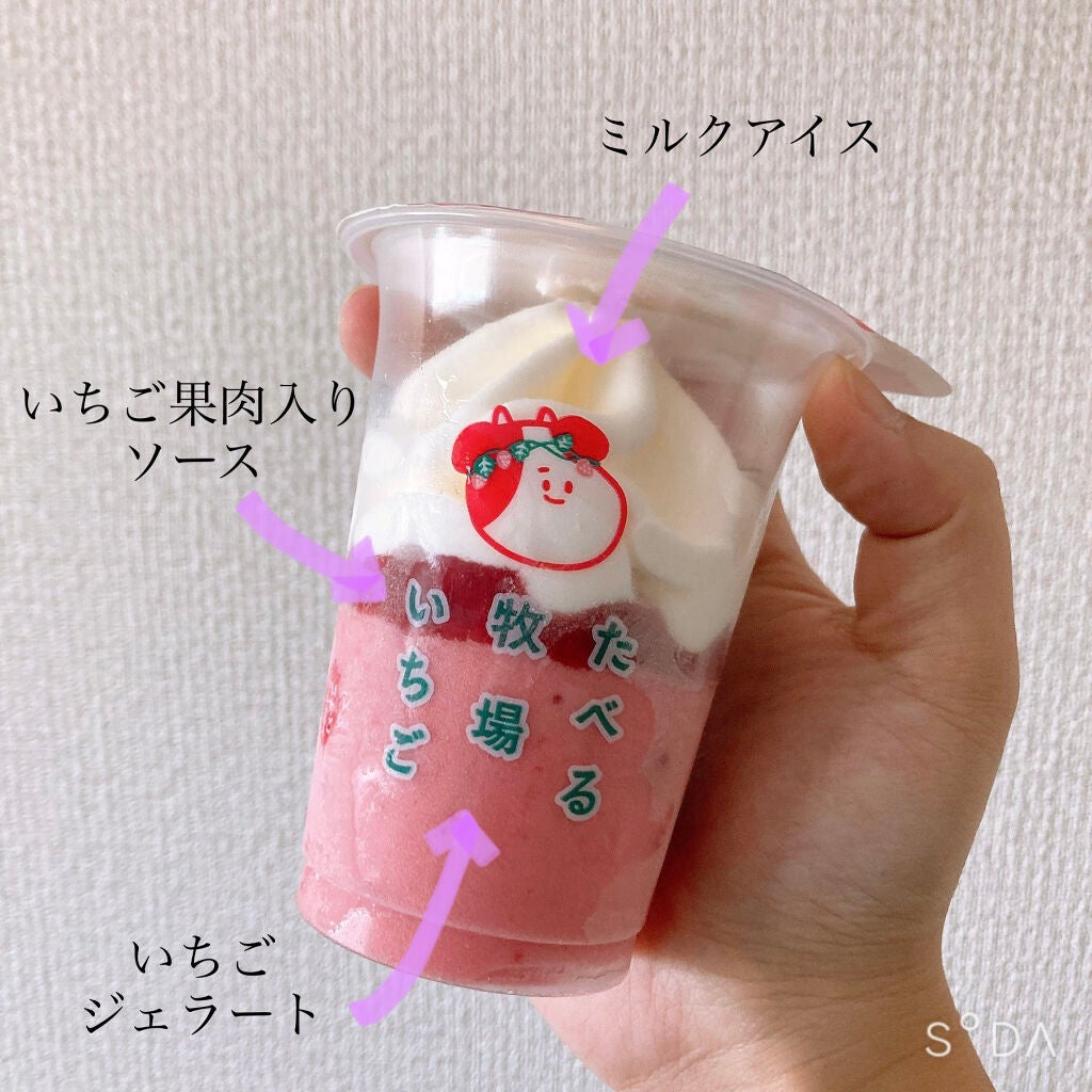 食べてもDiet/井藤漢方製薬/ボディサプリメントを使ったクチコミ(2枚目)