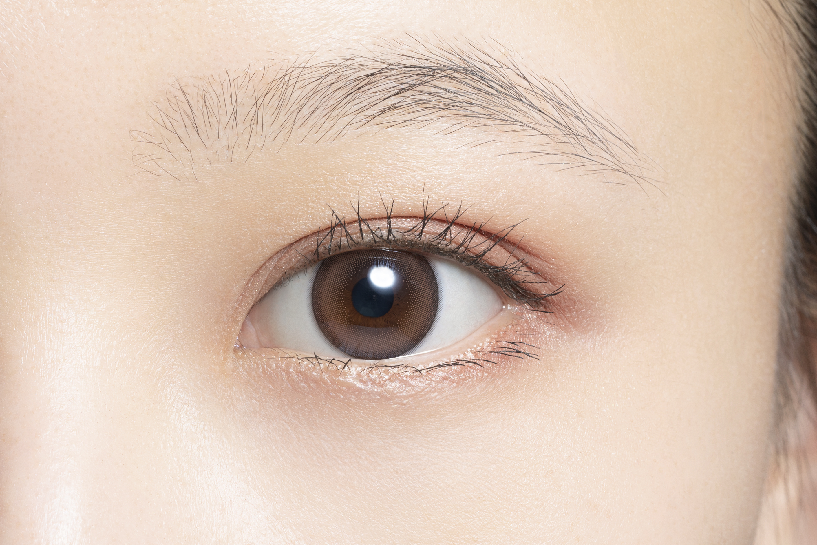 HARNE 1day マカロン