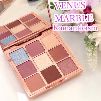 VenusMarble 9色アイシャドウパレット Mammonism(マンモニズム)/Venus Marble/アイシャドウパレットを使ったクチコミ(1枚目)