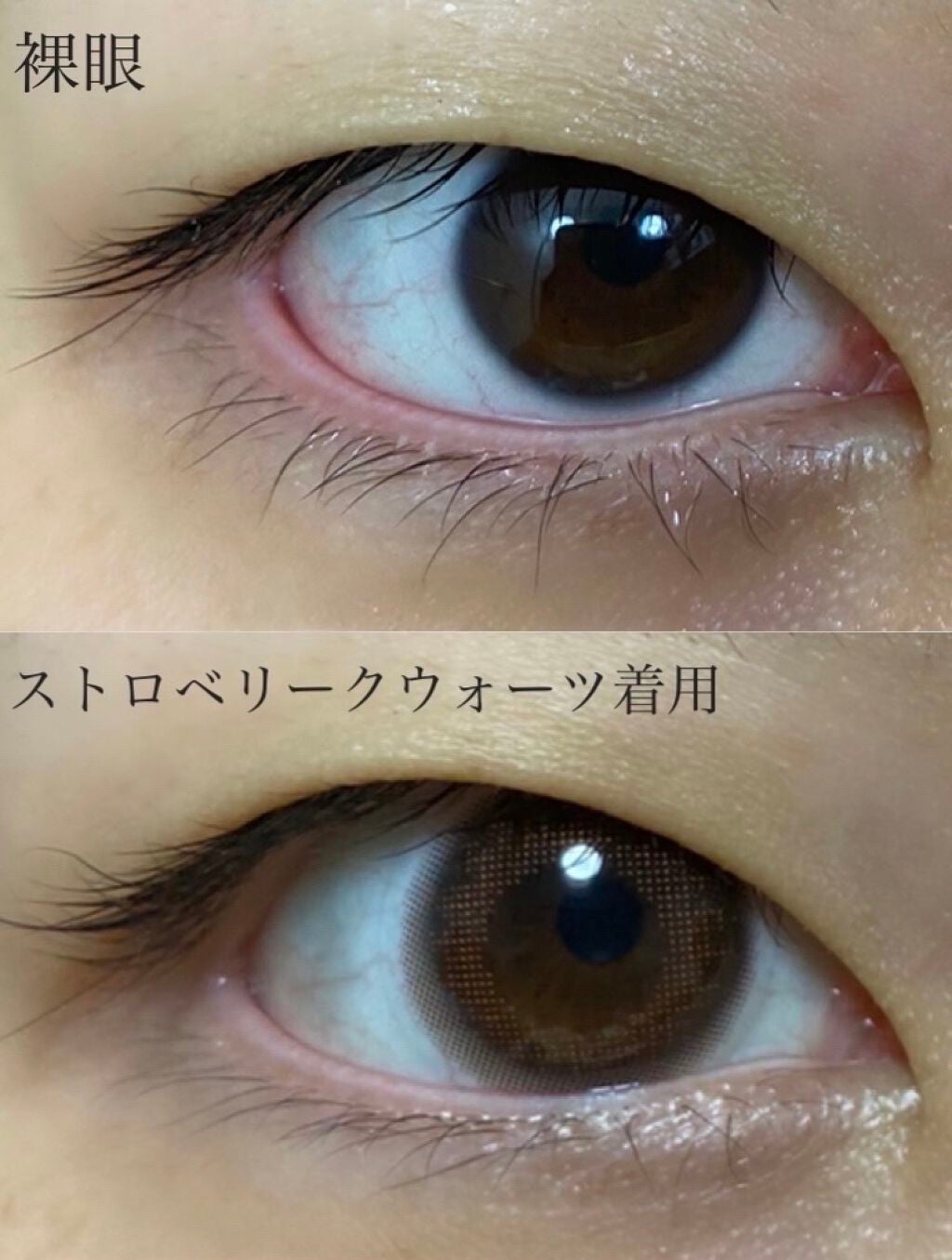 TOPARDS 1day/TOPARDS/ワンデー(1DAY)カラコンを使ったクチコミ(4枚目)