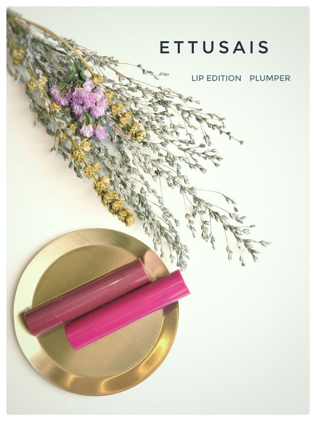 エテュセ リップエディション(プランパー)リッチスタイル/ヘルシースタイル/ettusais/リップケアを使ったクチコミ(1枚目)