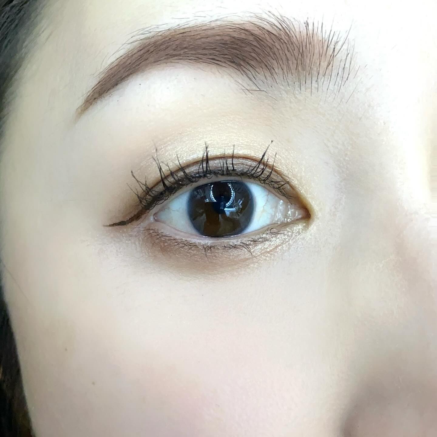 ニュアンス デューイ クリエイター/Visée/アイシャドウパレットを使ったクチコミ（3枚目）