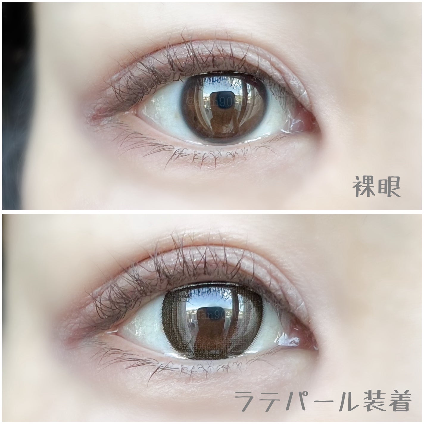 TOPARDS 1day/TOPARDS/ワンデー(1DAY)カラコンを使ったクチコミ(3枚目)