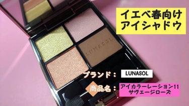 アイカラーレーション 11 Savage Rose/LUNASOL/アイシャドウパレットを使ったクチコミ（1枚目）