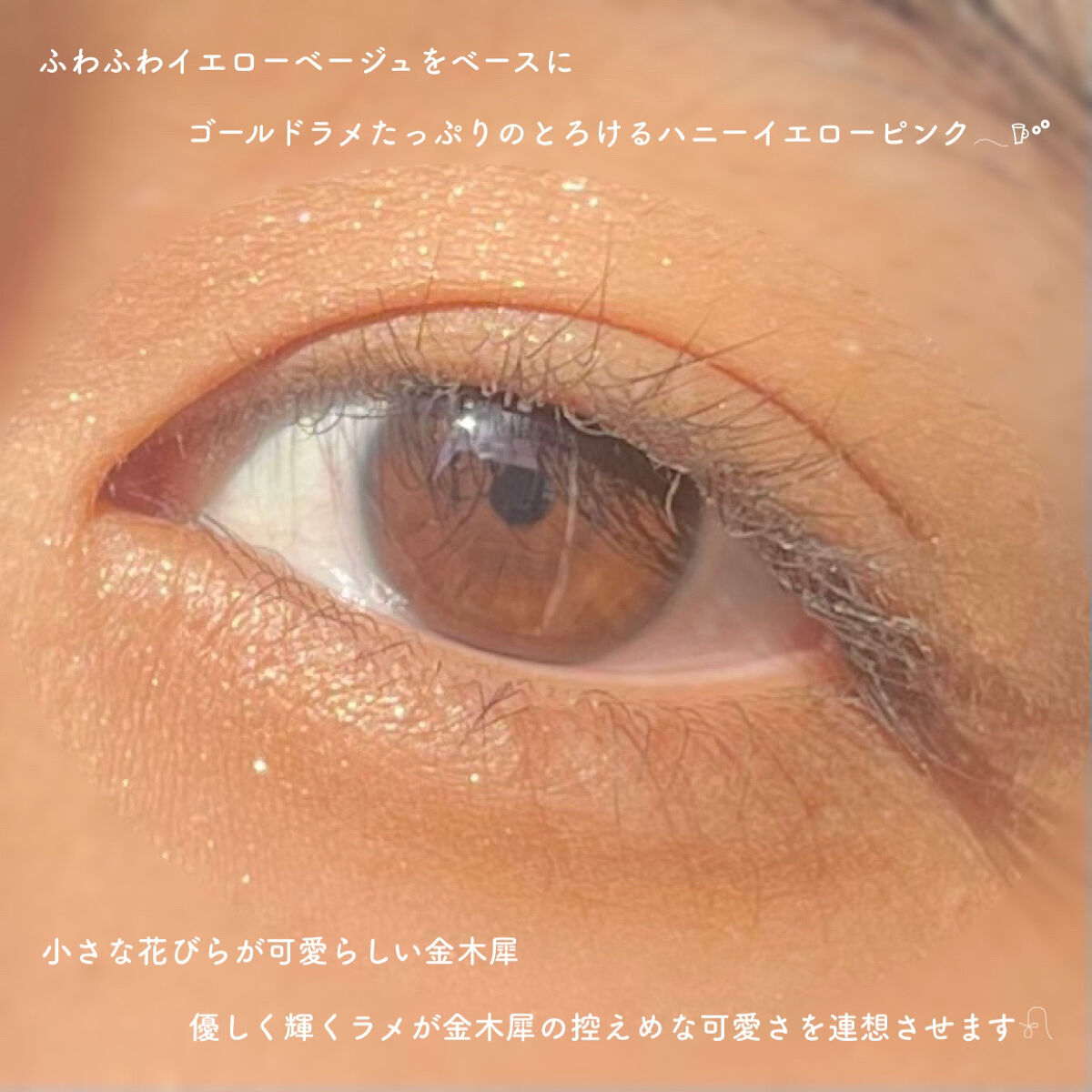 パーフェクトマルチアイズ/キャンメイク/アイシャドウパレットを使ったクチコミ（2枚目）