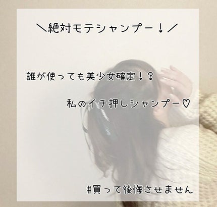 SS ビオリス ボタニカル シャンプー/コンディショナー(スリークストレート)/SSビオリス/シャンプー・コンディショナーを使ったクチコミ(1枚目)