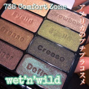Color Icon Eyeshadow Collection/wet 'n' wild/アイシャドウパレットを使ったクチコミ（1枚目）